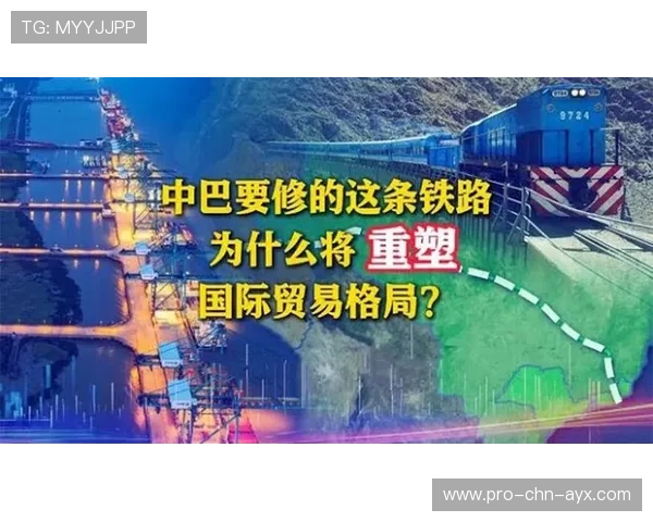 南美回购潮重塑市场——新机遇与布局策略全面解析